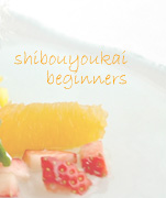 shibouyoukai beginners bn𒍎 ӂ͂